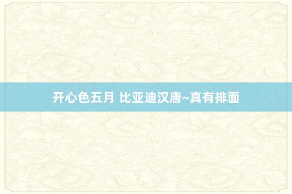 开心色五月 比亚迪汉唐~真有排面