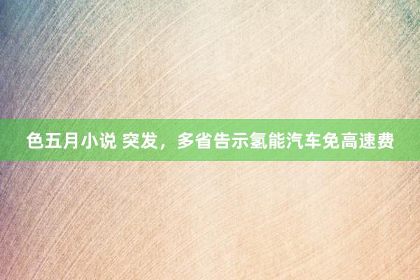 色五月小说 突发，多省告示氢能汽车免高速费