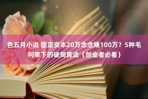 色五月小说 固定资本20万念念赚100万？5种毛利率下的破局算法（创业者必看）
