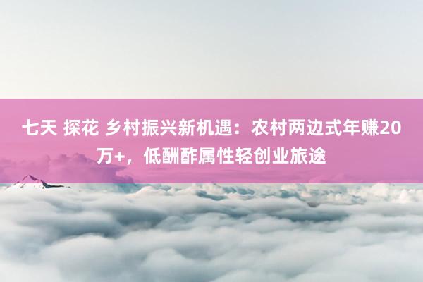 七天 探花 乡村振兴新机遇：农村两边式年赚20万+，低酬酢属性轻创业旅途