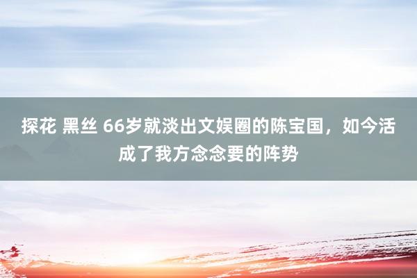 探花 黑丝 66岁就淡出文娱圈的陈宝国，如今活成了我方念念要的阵势