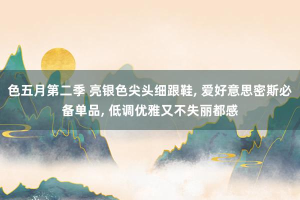 色五月第二季 亮银色尖头细跟鞋, 爱好意思密斯必备单品, 低调优雅又不失丽都感