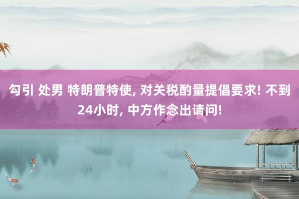 勾引 处男 特朗普特使, 对关税酌量提倡要求! 不到24小时, 中方作念出请问!