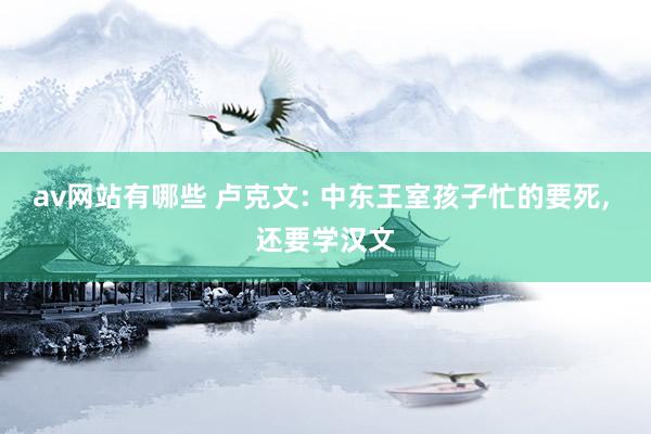 av网站有哪些 卢克文: 中东王室孩子忙的要死, 还要学汉文