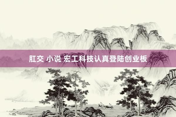 肛交 小说 宏工科技认真登陆创业板