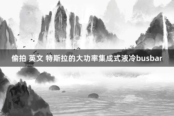 偷拍 英文 特斯拉的大功率集成式液冷busbar